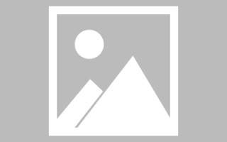 玉树斑马网站高清素材视频（斑马视频最新版）